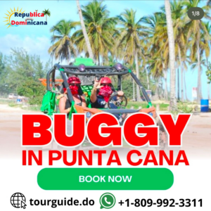 Buggy In Punta Cana